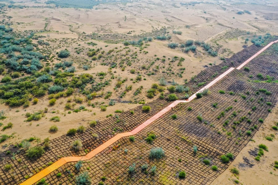 Xi Focus: Xi Jinping drives China's relentless fight against desertification